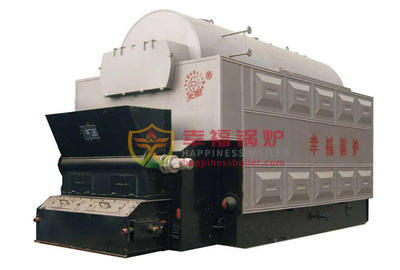 Feed coal fired industrial steam boilers